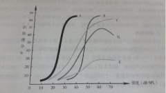 言语测听结果临床分型